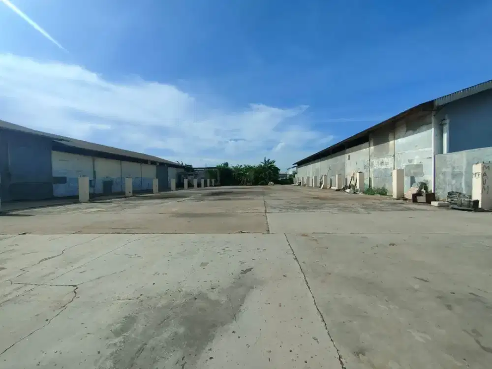 Ready Disewakan Lahan Kosong Luas Area Kapuk Kamal Bebas Banjir Bisa Akses Kontainer