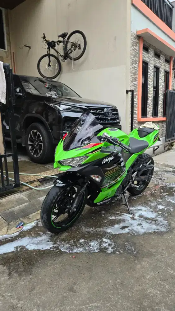 Kawasaki ninja 250 2019 Kawasaki Racing Team (KRT)