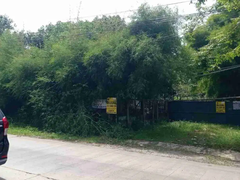 Kavling Murah Di jalan Raya Gunung Sindur 3.5 Juta Per Meter