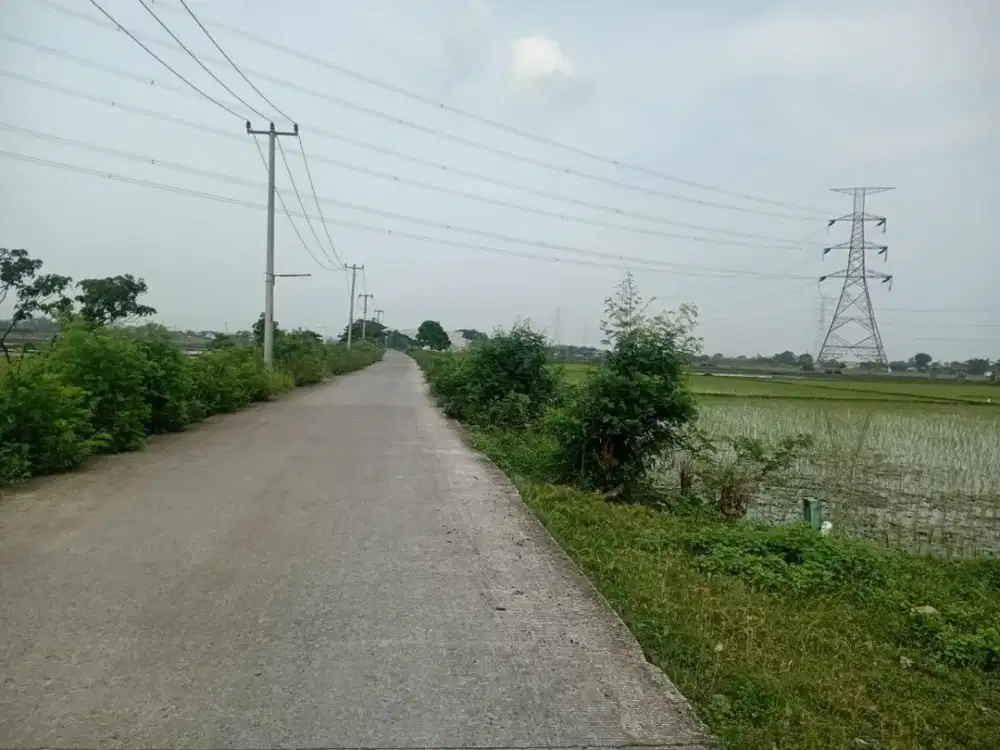 Dijual Tanah Di Bekasi Murah Strategis Luas 3.946