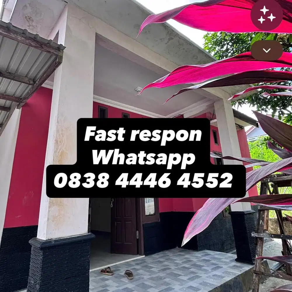 SEWA DIKONTRAKAN DISEWAKAN RUMAH