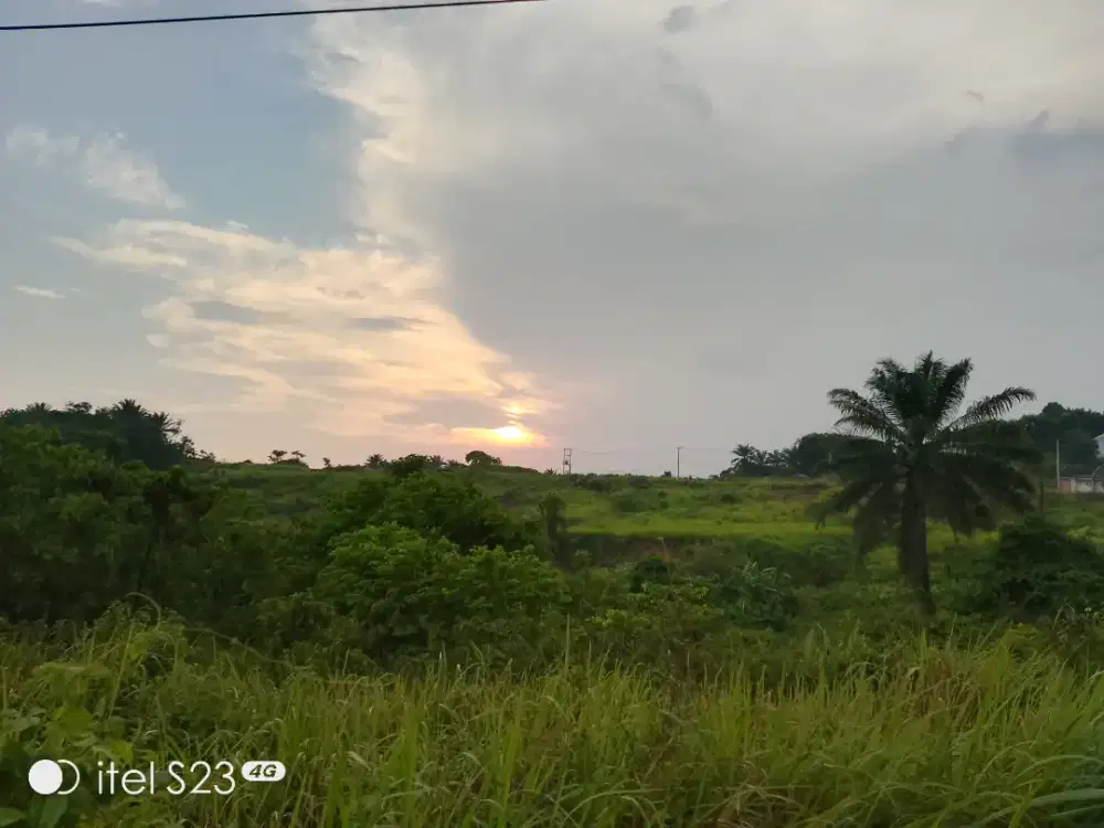 Kerja apa saja yang penting ada mes nya