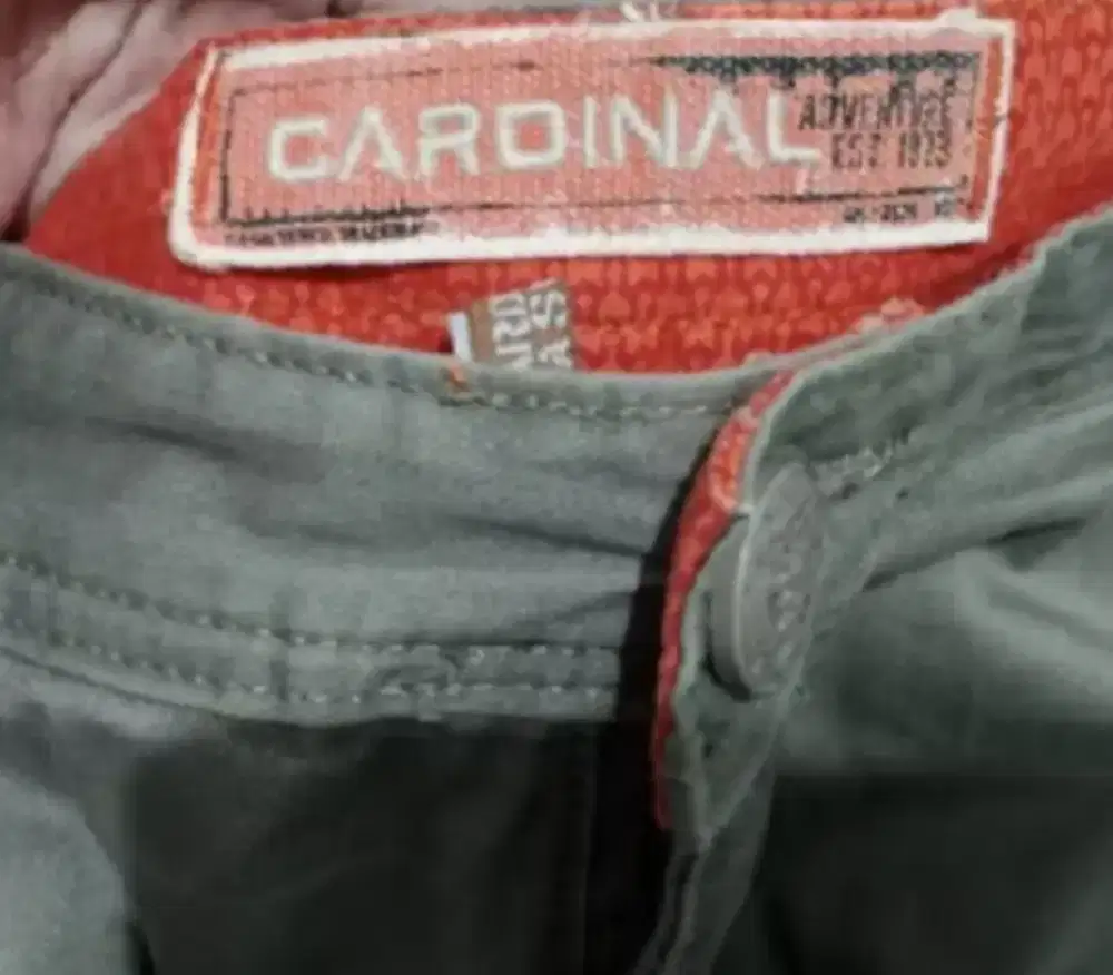 CELANA PANJANG CARDINAL CARGO/CELANA GUNUNG ORIGINALCELANA PRIA DEWASA