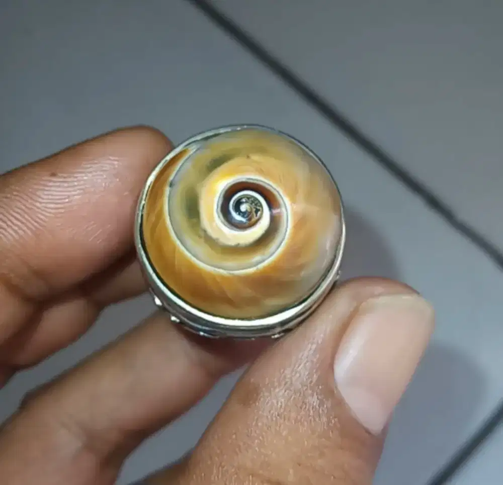 Batu cincin akik fosil natural