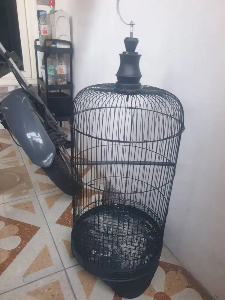 Sangkar labet msh bagus