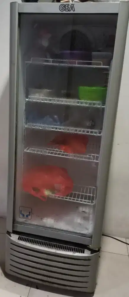 Showcase/ chiller Gea