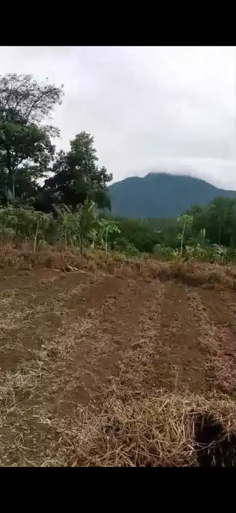 Di Jual Tanah Kebun Indah View Gunung Salak