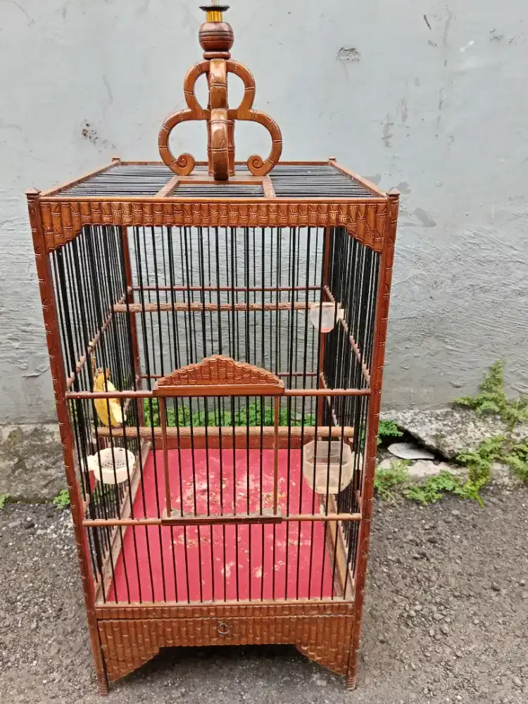 Kandang ukir cukit no 3