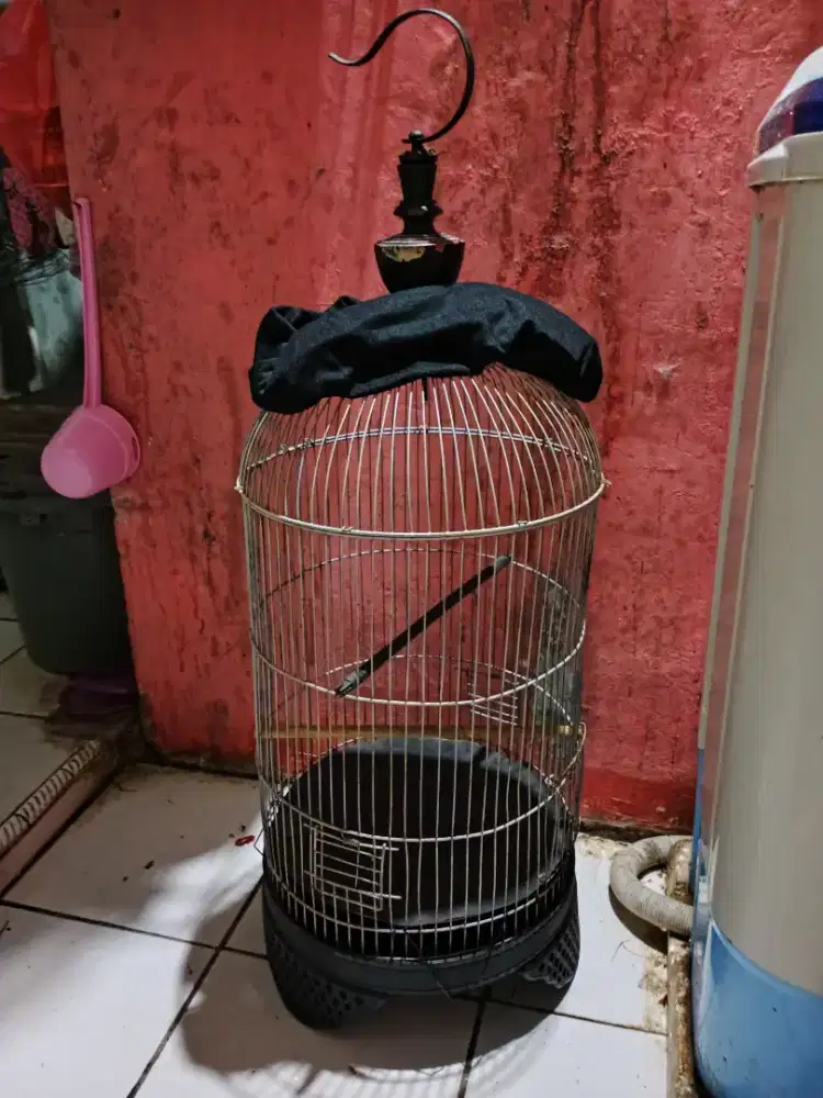 Kandang burung sangkar Lovebird