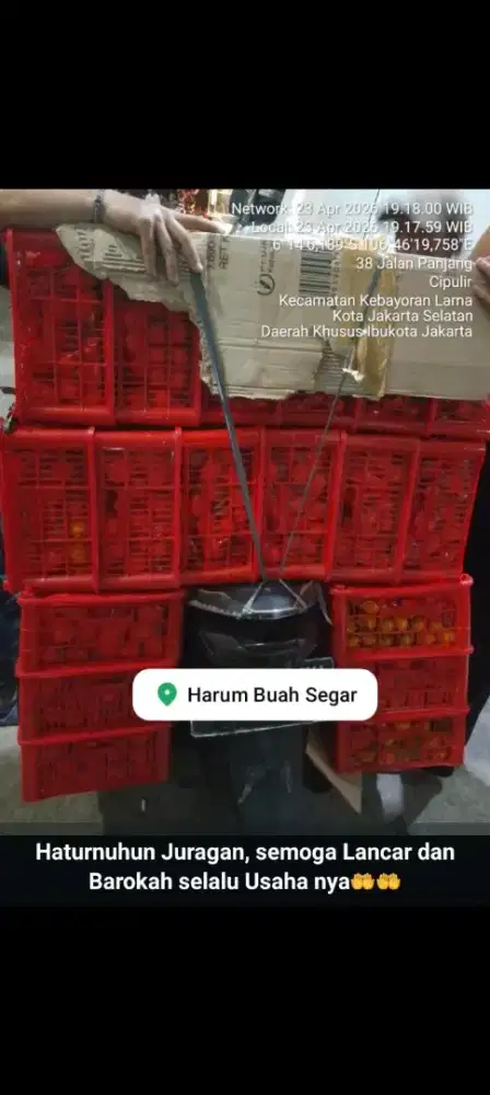 macam macam buahan
