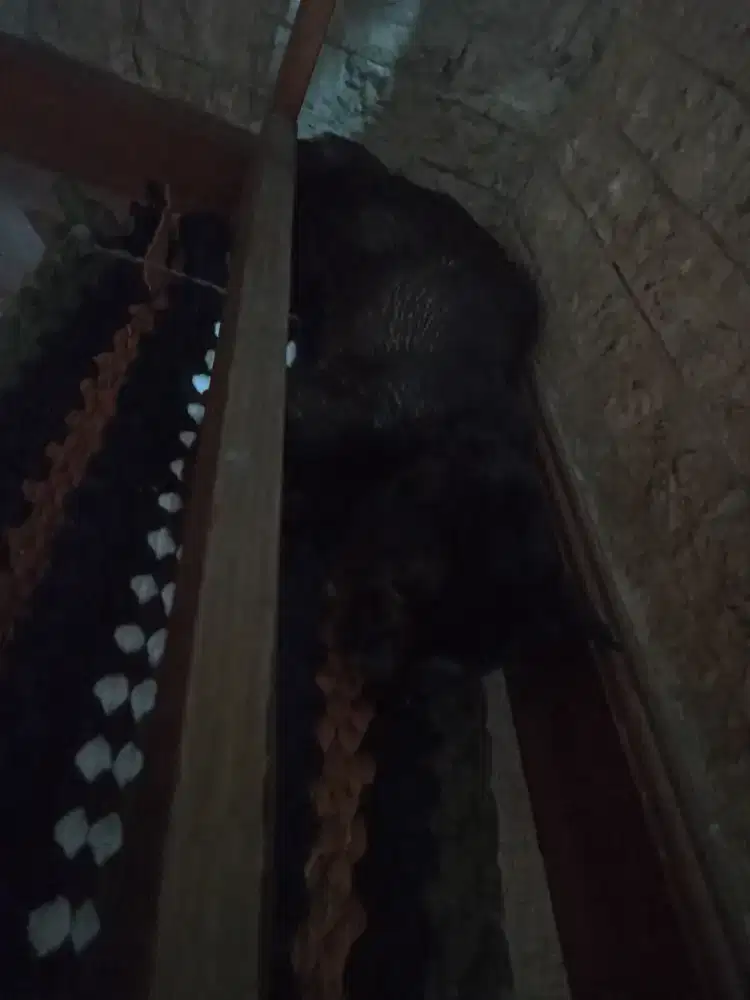 Di cari ART atau Sus