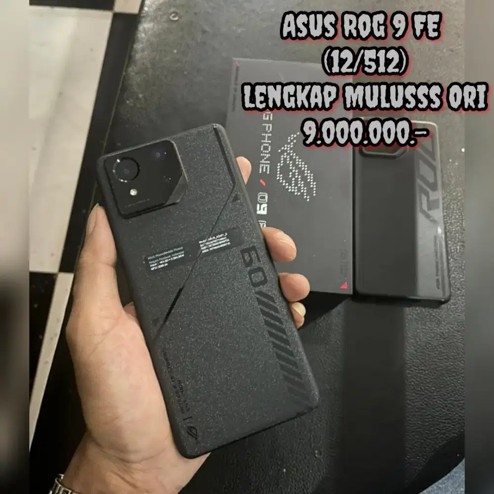 Asus Rog 9 FE (12/512)