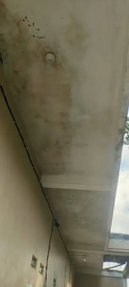 tukang renovasi dan perbaikan atap bocor