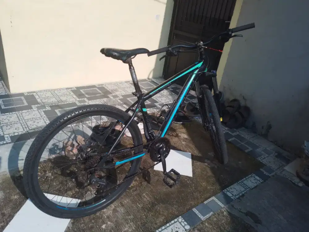 MTB Polygon monarch 26