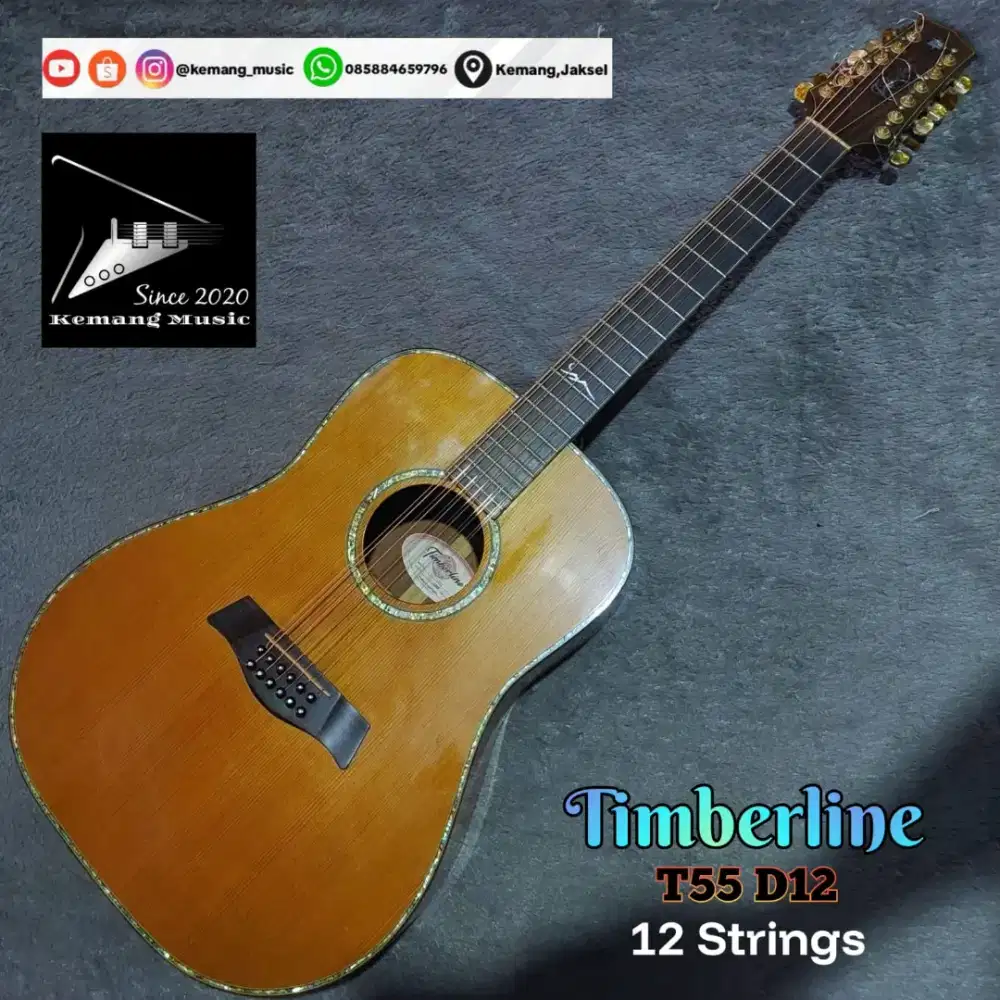 Gitar langka 12 senar gitar original timberline no cort ibanez martin