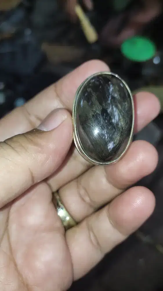 Batu Bulu Macan Lumajang