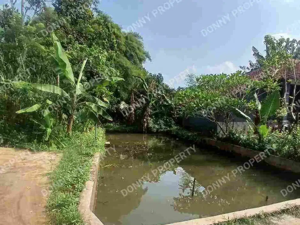 Dijual Tanah Tonjong Tajurhalang Bogor