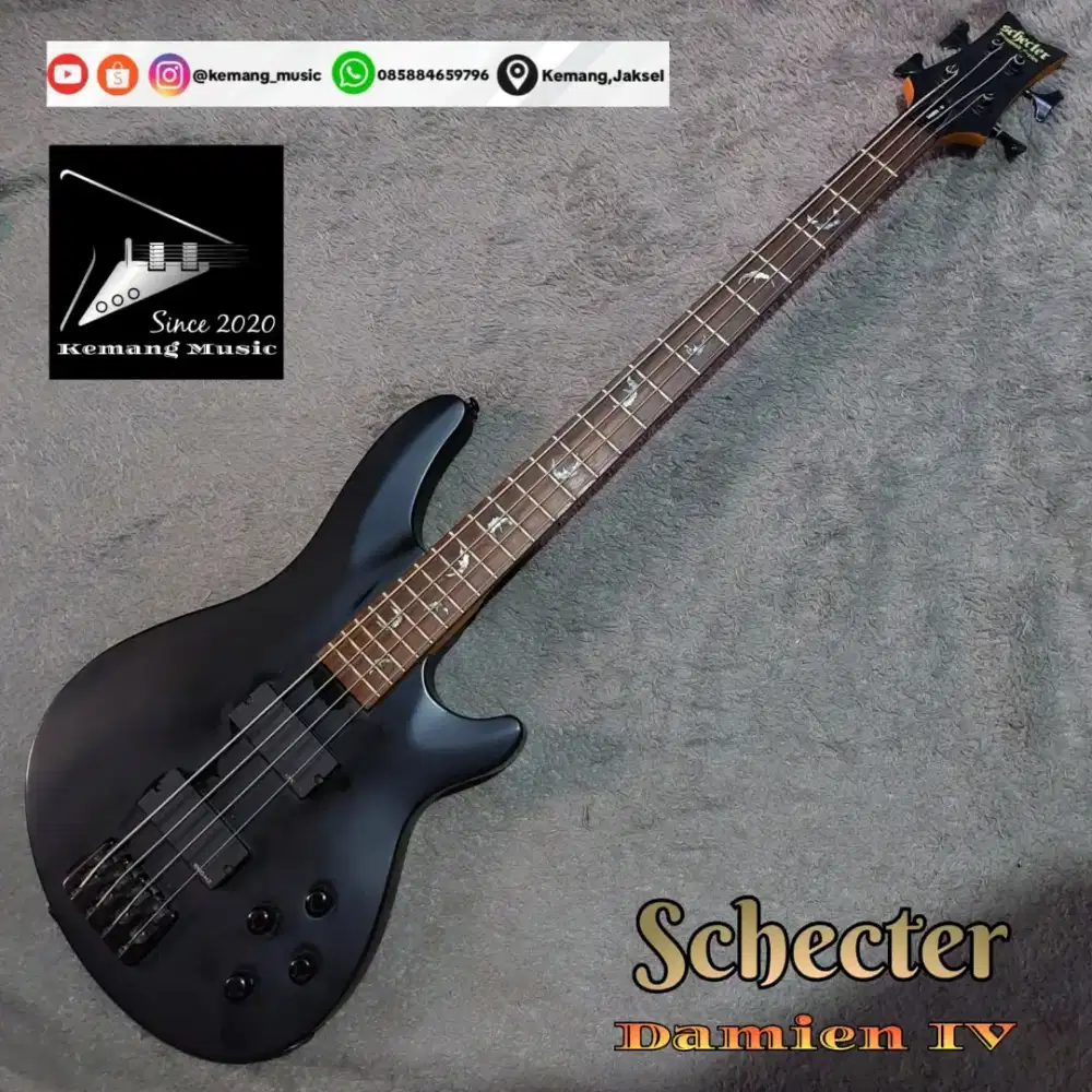 Bass aktif schecter no musicman fender sire bacchus
