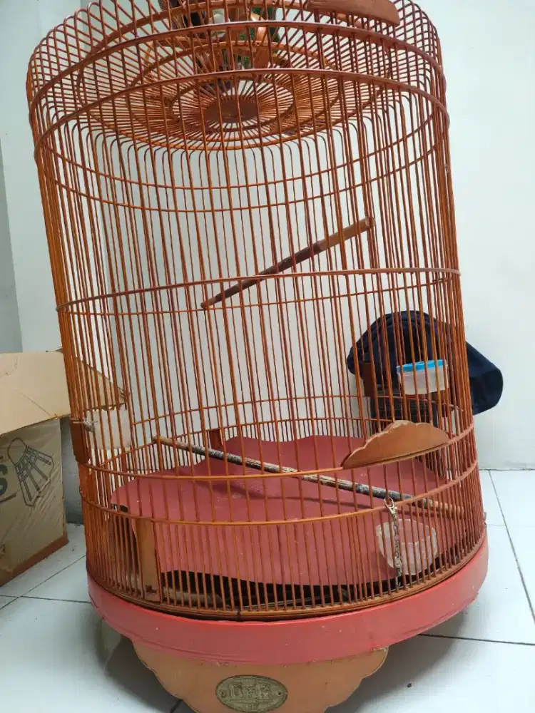 Kandang murai no 2