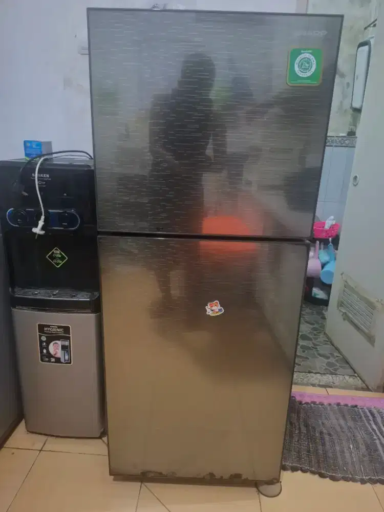Kulkas Sharp 2 Pintu