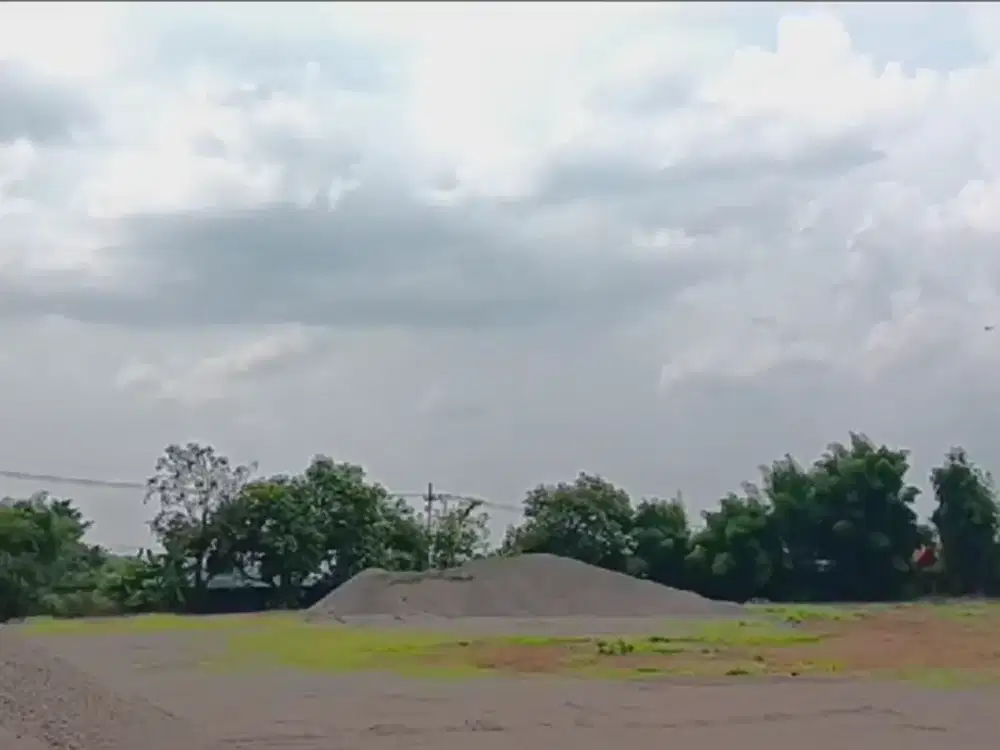 JUAL TANAH 3,3 HEKTARE HARGA 40 M atau Full Asset 48 M NEGO AJA