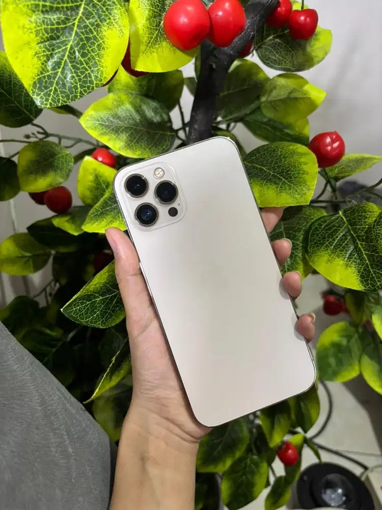 iphone 12 promax 256gb all operator