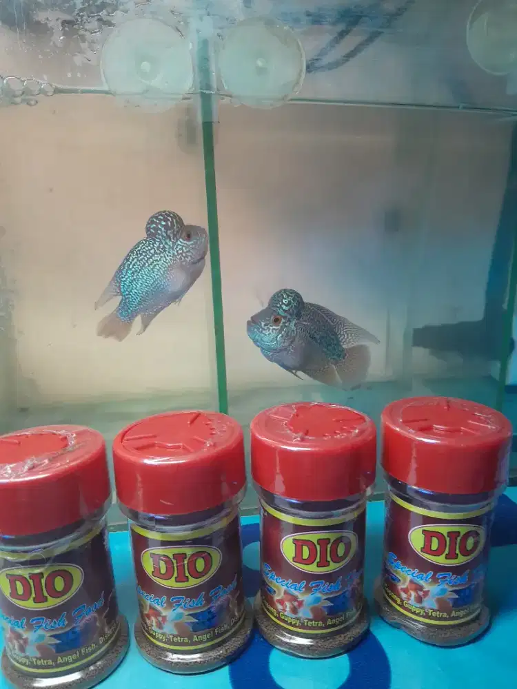 pelet ikan louhan cupang guppy size kecil