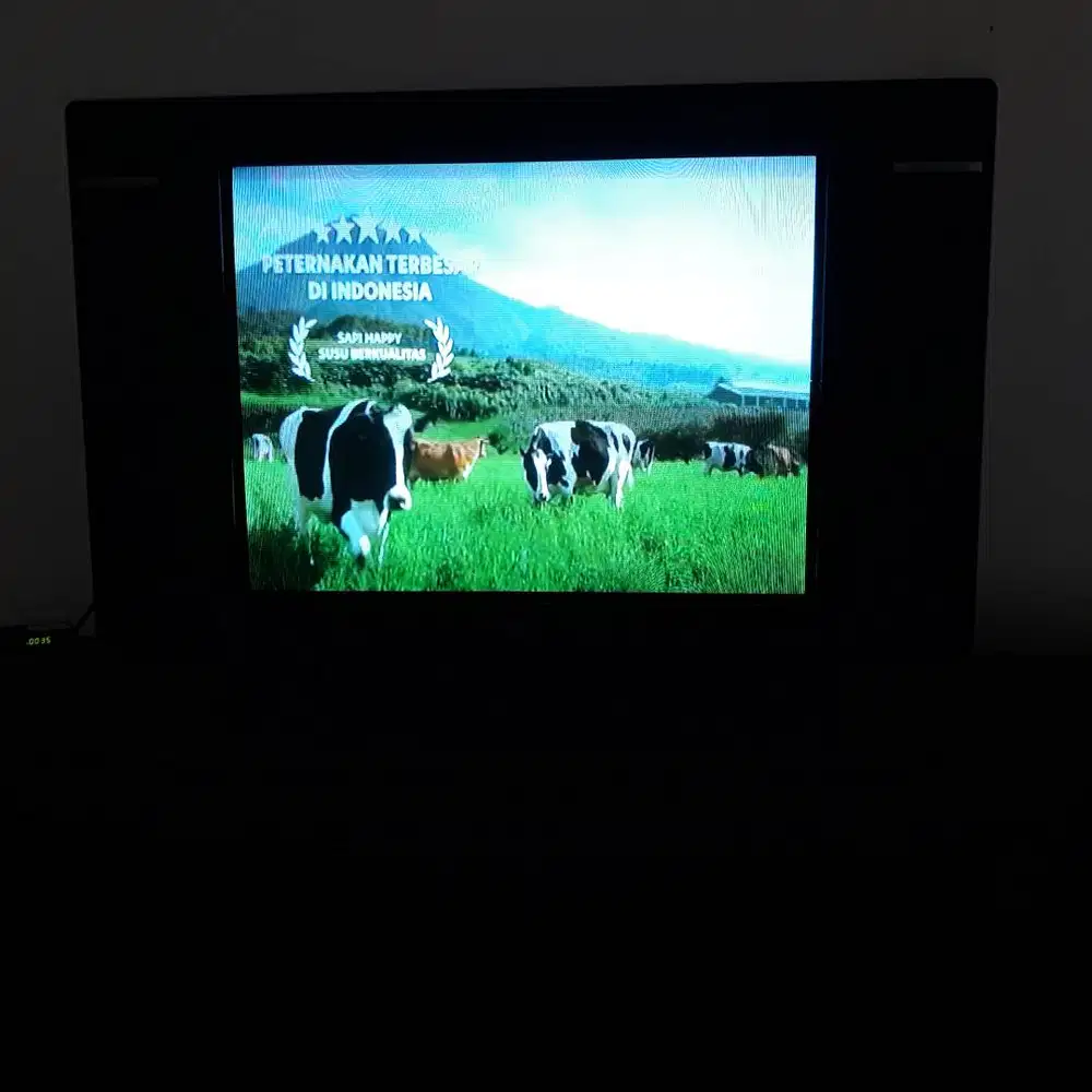 TV LG 29in pearl black slim fit