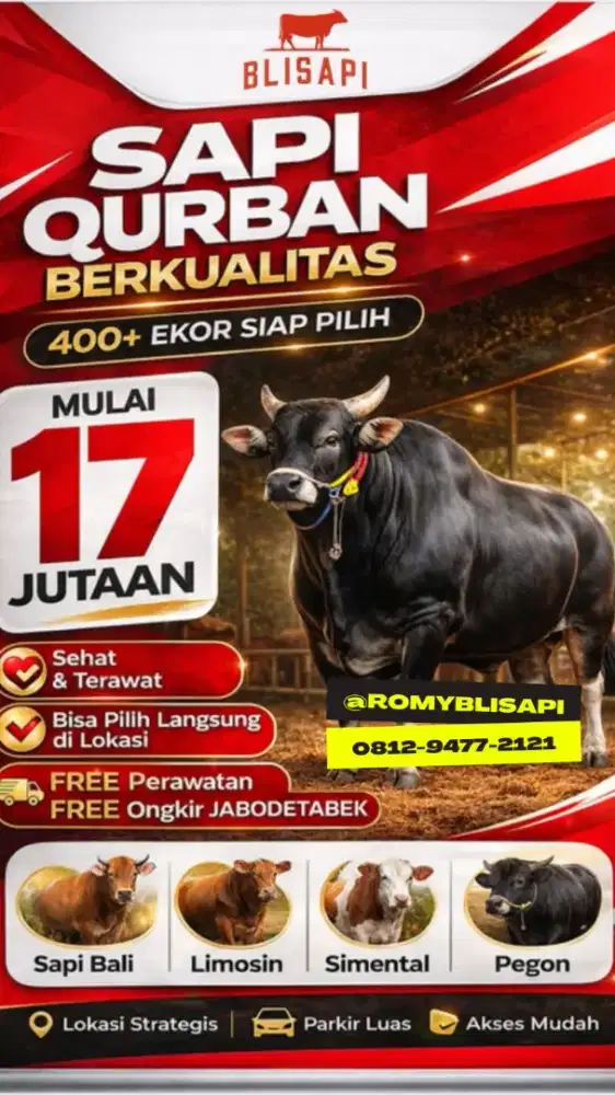 Sapi Qurban 2026 || Free Ongkir