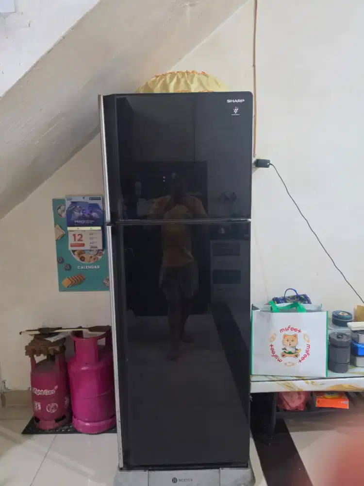 Kulkas 2 Pintu Sharp