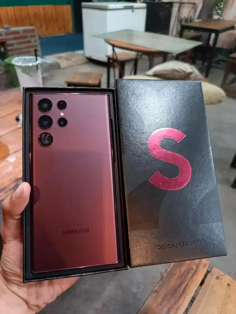 Samsung S22 Ultra Sein
