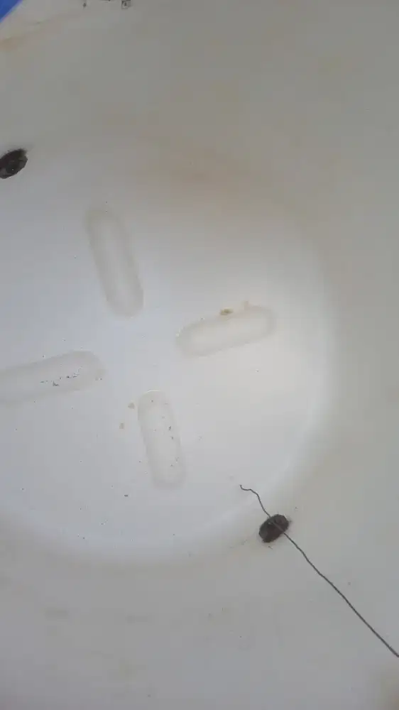 Cleaning maintenance intalasi pipa air bersih dan toren air dll