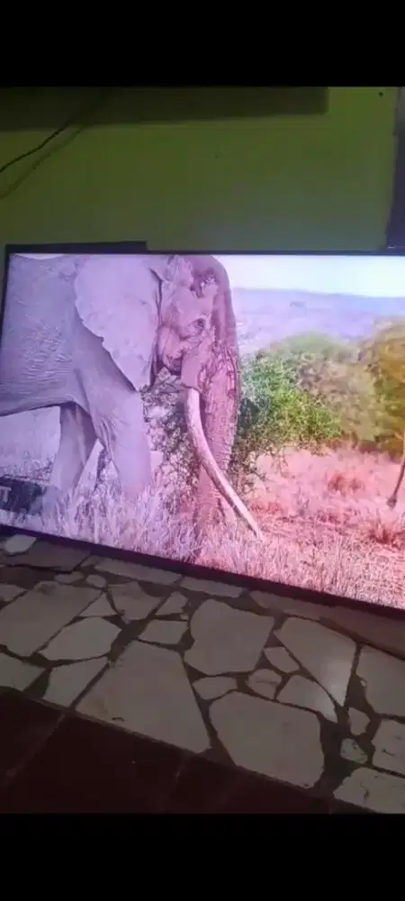 Games jual samsung smart 55in masih bagus boleh cek dulu silahkan