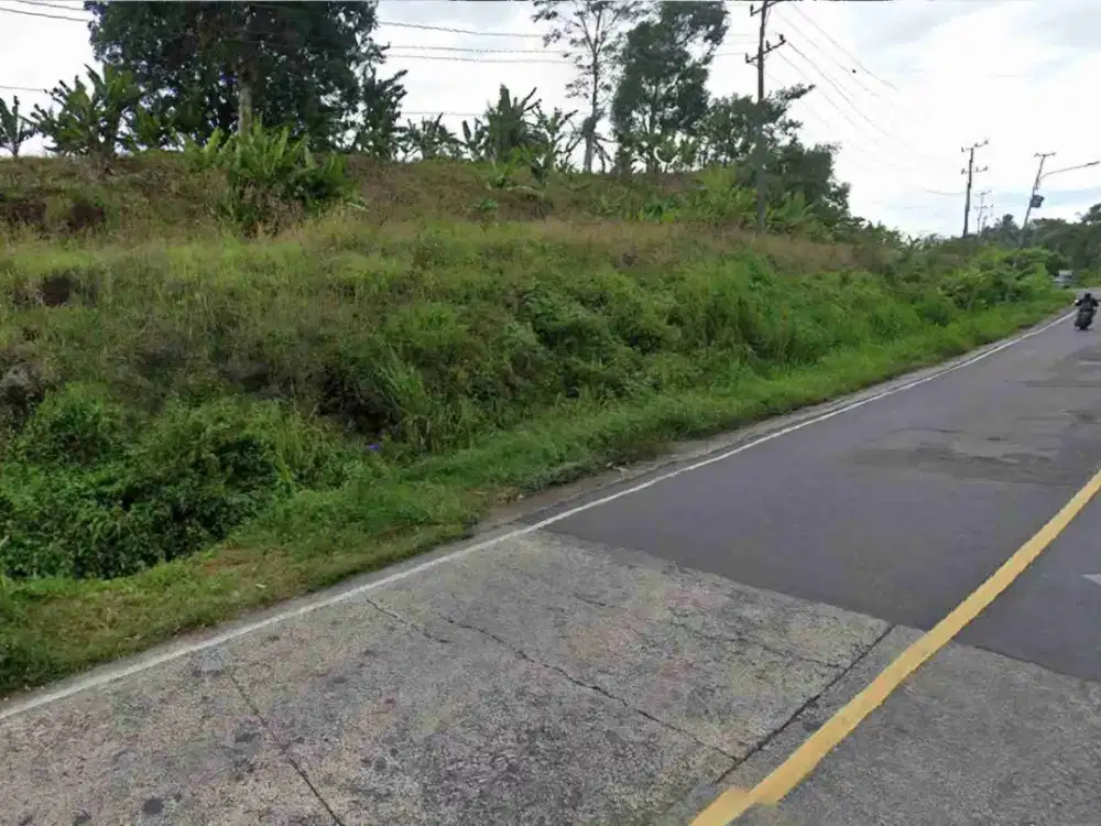 tanah 5,9 hektar di jalan raya bakauheni