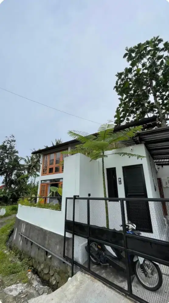 Dijual rumah konsep villa Japanese di jl palagan km 12 murah poll