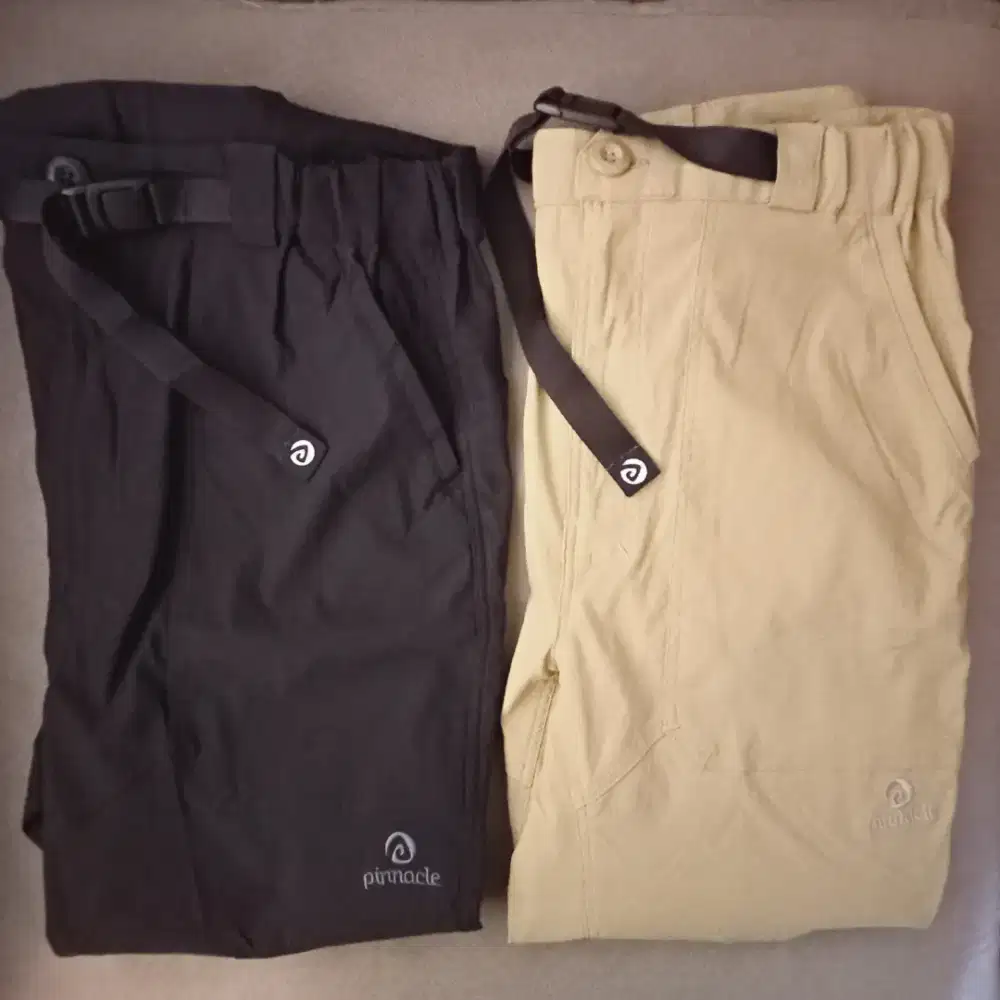Pinnacle Hike Pant - Eutla Evo