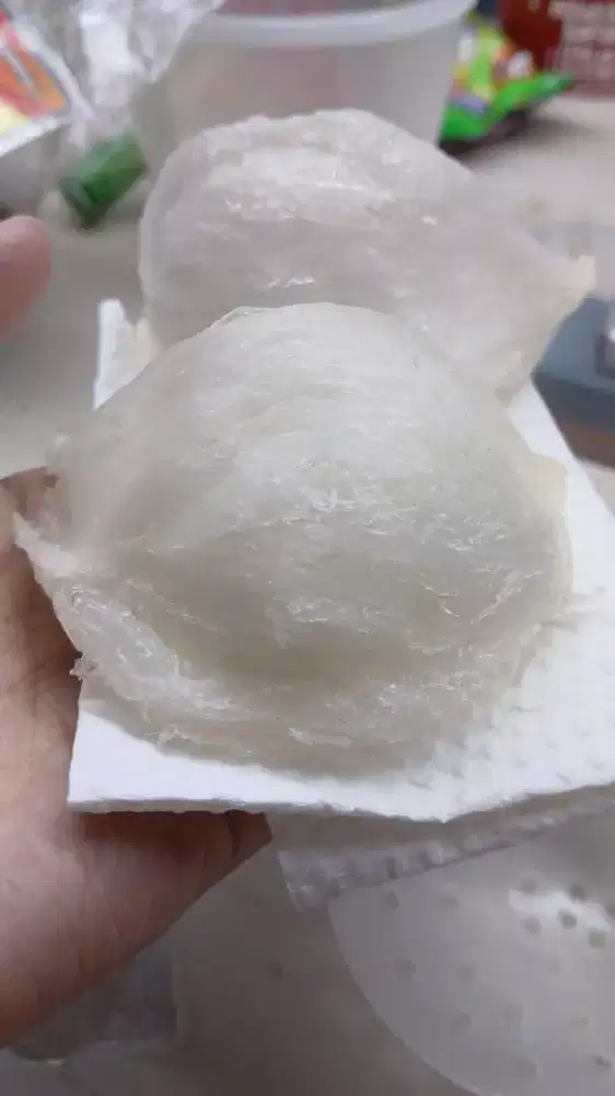 Loker cabut sarang walet