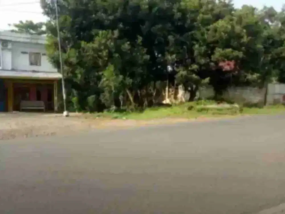 Tanah 3Ha - 4Ha pinggir Jl. Raya Subang - Indramayu