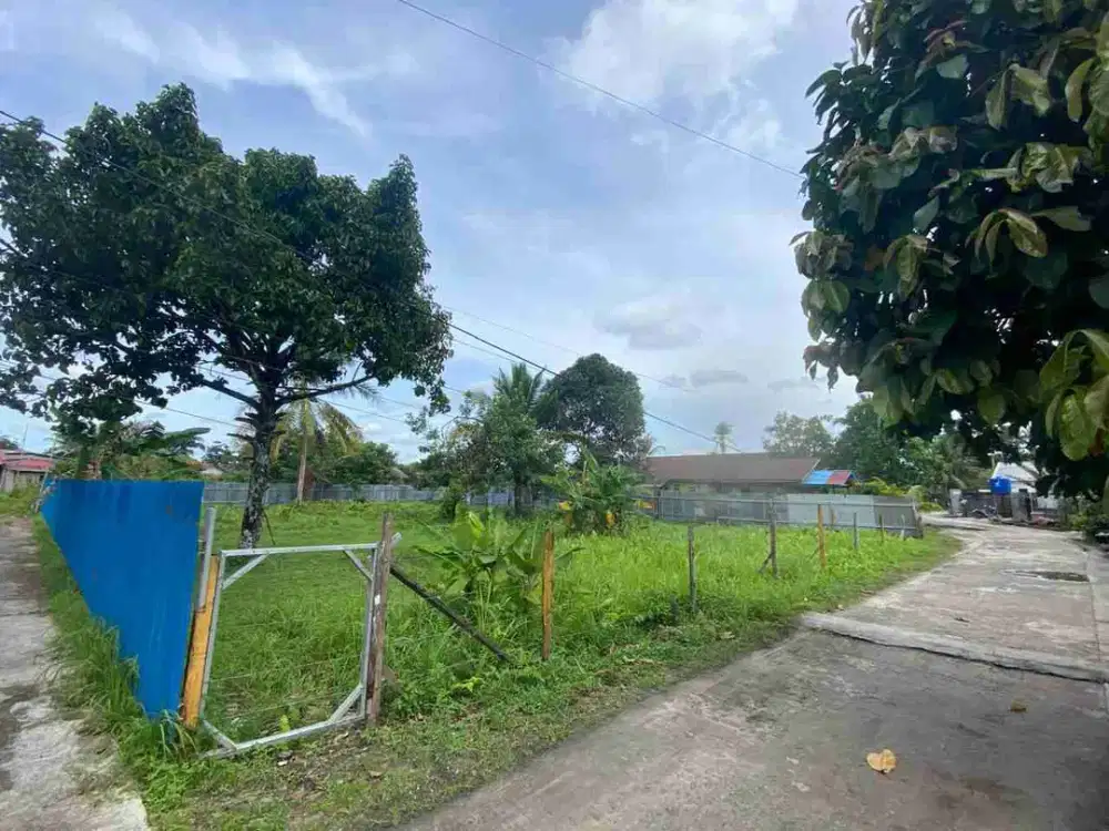 di sewakan tanah teritip