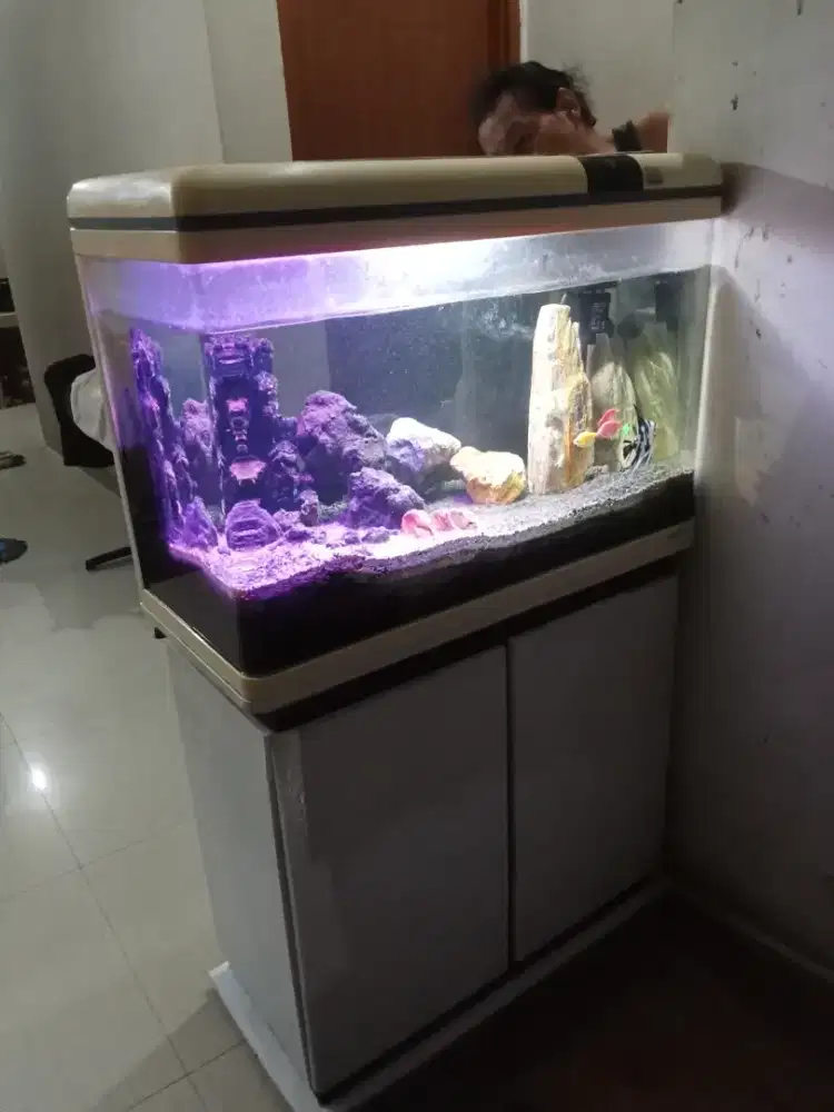 Aquarium boyu 2 pintu