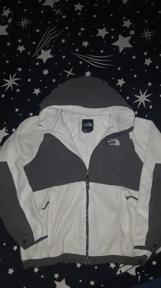 The North Face Denali Polartec Fleece Hooded Jacket