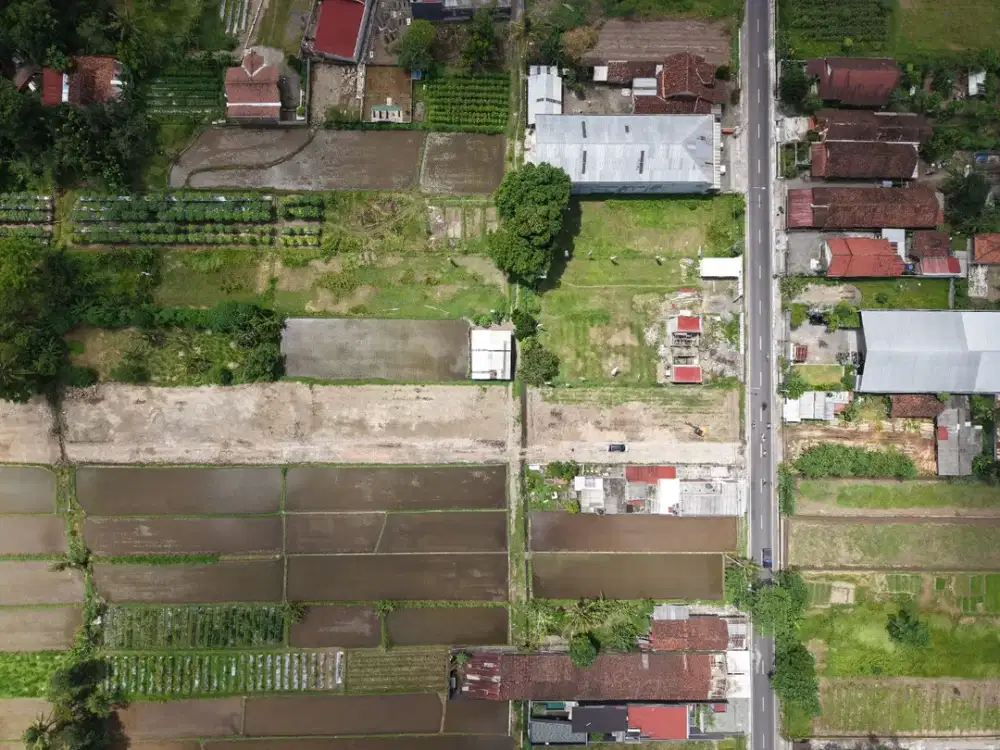 Tanah Mangku JL Pandowoharjo 400 M ke Utara Dari Ringin