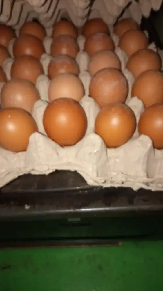 Lowongan kerja kantin