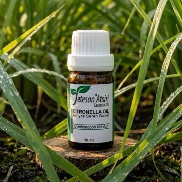 Essential Oil Aromatherapy CITRONELLA SEREH 10Ml Diffuser Humidifier