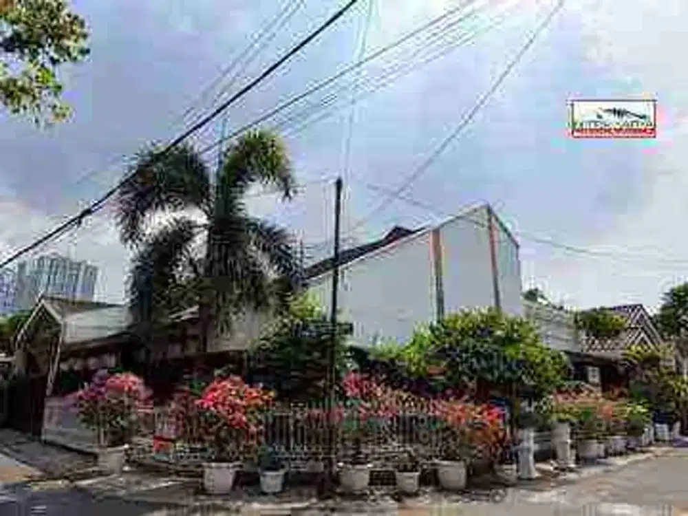 rumah di Salemba lahan ≥ 220m²
