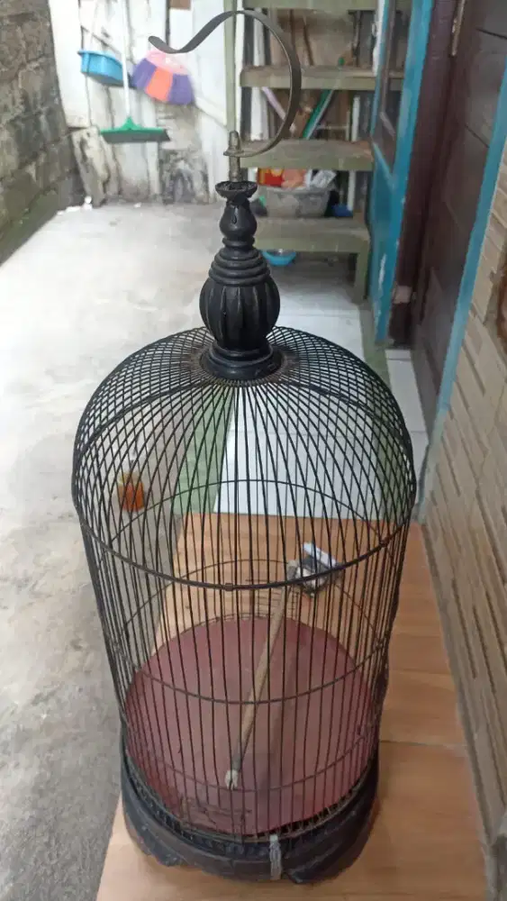 Kandang burung masih layak pakai