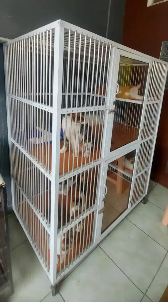 Rumah kucing 2 ruangan