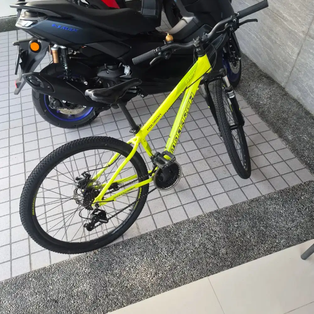 Sepeda MTB anak Polygon Monarch MYT