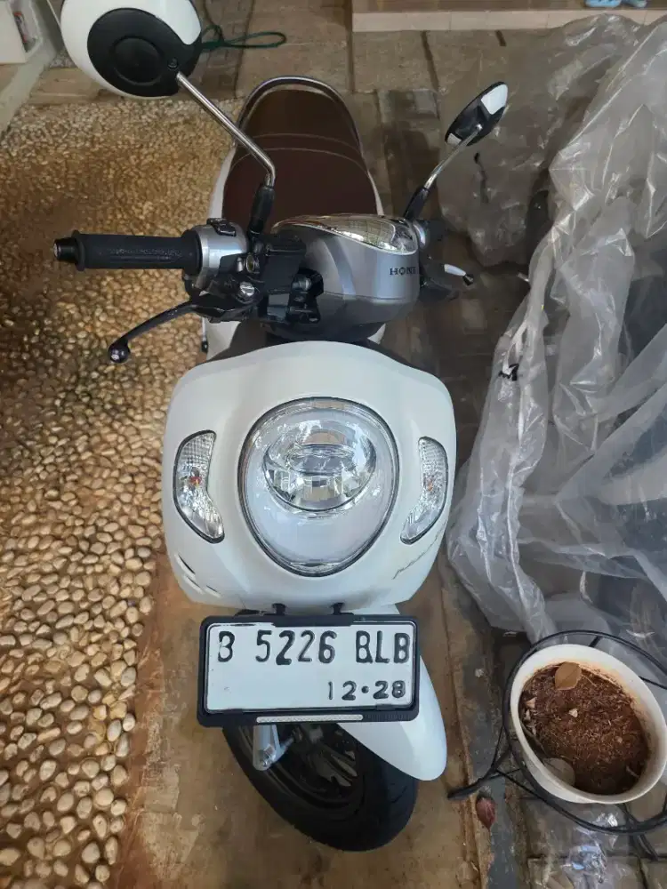 Honda Scoopy prestige putih 2023