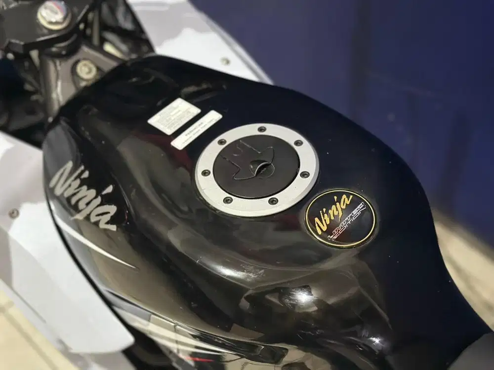 Kawasaki Ninja RR New Limited Edition 2015